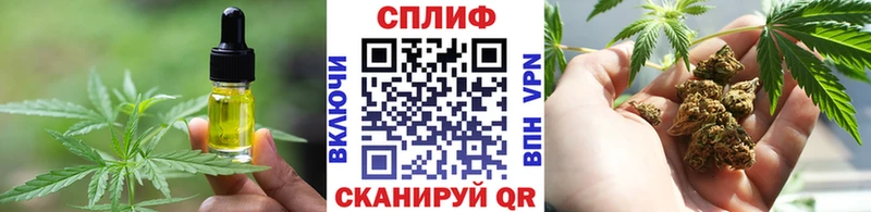 где купить наркоту  Нюрба  Cannafood марихуана 