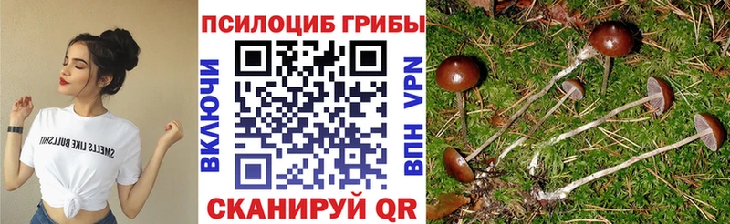 Псилоцибиновые грибы ЛСД  Нюрба 